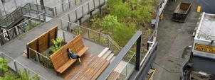 The high line - Section 2